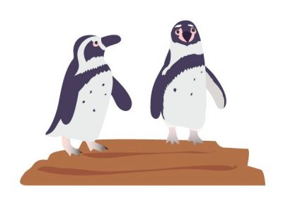 フンボルトペンギン　日本　増えすぎ