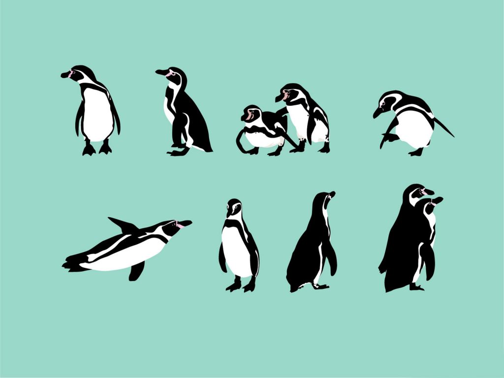 フンボルトペンギンが日本で増えすぎ 日本の凄すぎる繁殖環境に注目 しずくの海洋日報