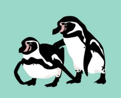 フンボルトペンギン　日本　増えすぎ