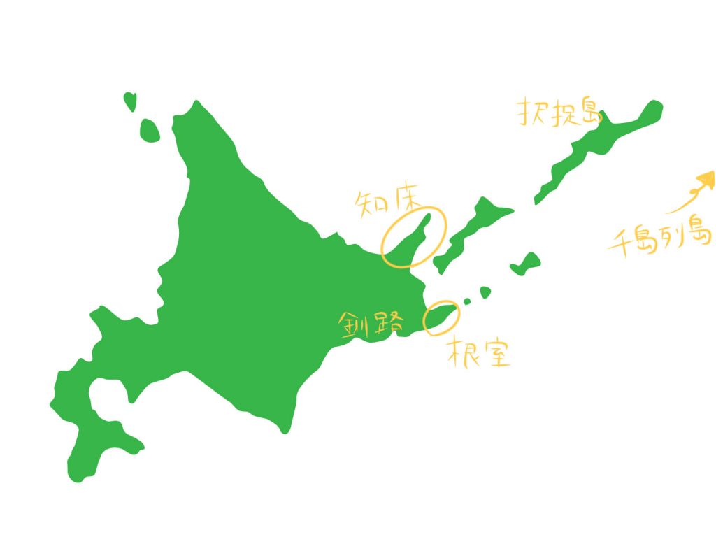 ラッコは北海道で会える いつどこで 頻度は ラッコが激減した悲しい話も しずくの海洋日報