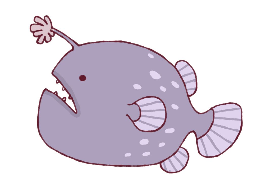 アンコウの旬の時期は冬の季節 部位ごとの味や食べ方 値段の相場は しずくの海洋日報